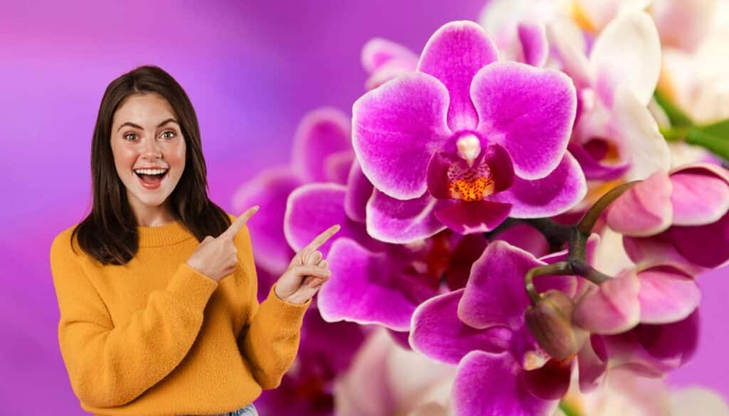 Ha trasformato le sue orchidee spente in gioielli splendenti con questo ingrediente da cucina